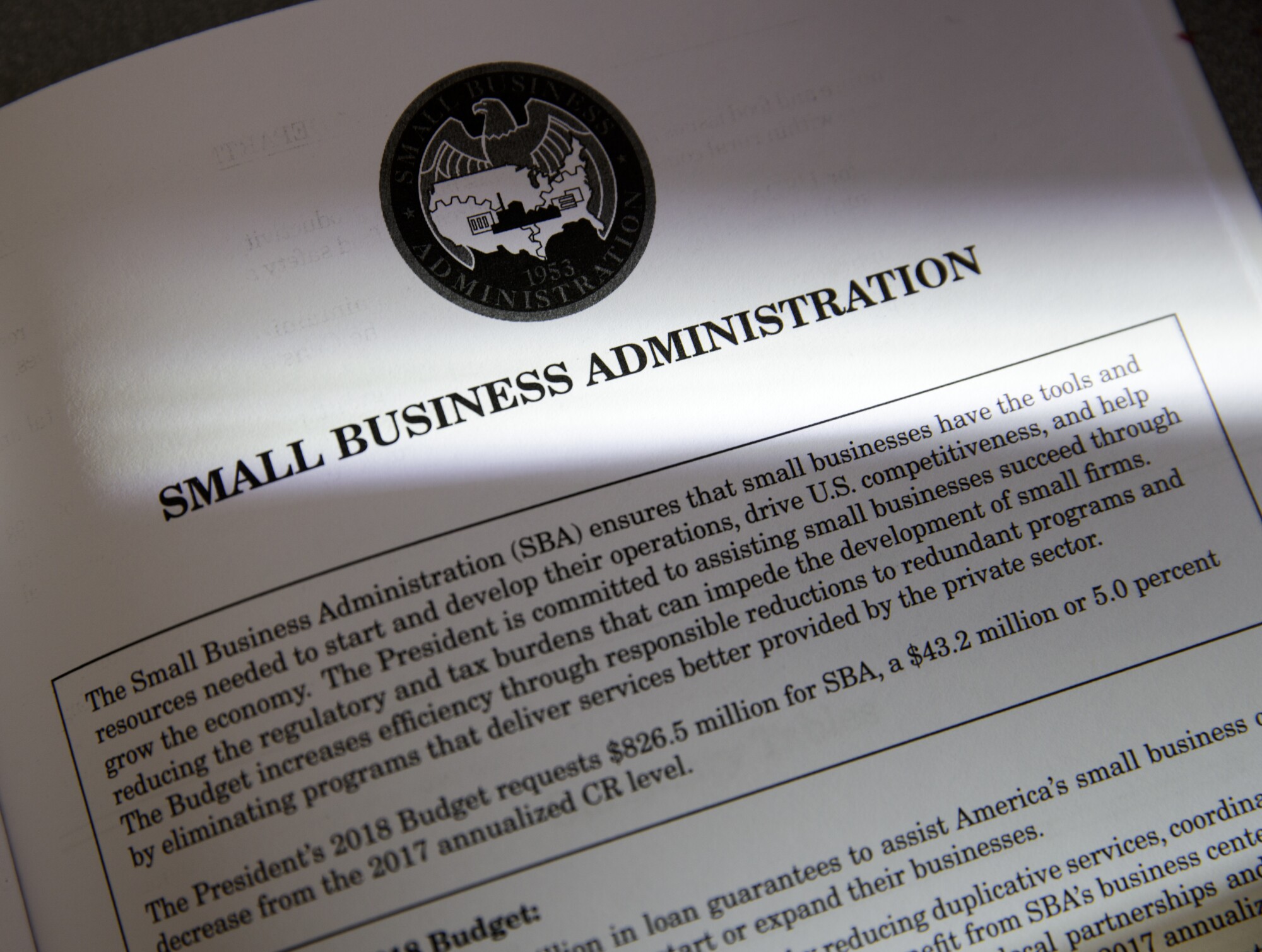 Small Business Administration (SBA)