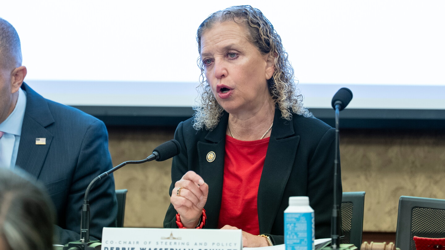 Debbie Wasserman Schultz's Run Is Infuriating Black Democrats. She Might Win Anyway.