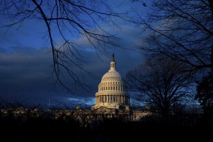 Capitol Dome 119th Congress