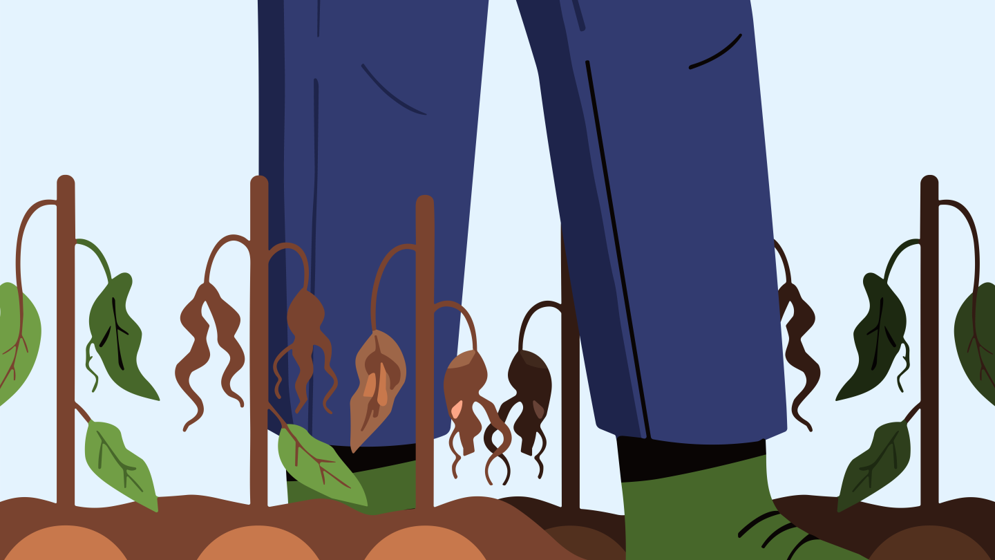 Disease, Drought, Climate Change - And the Joy of Fighting Back