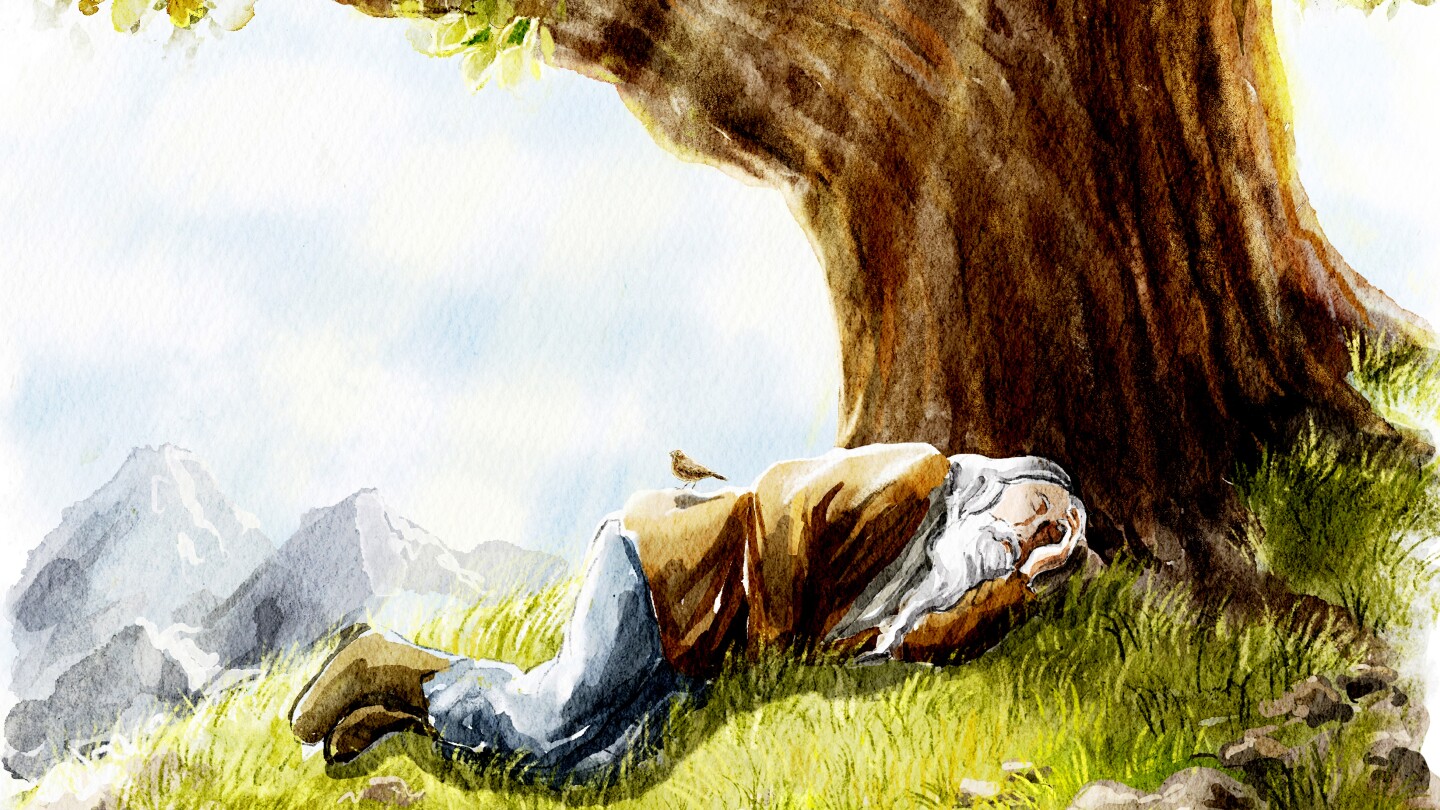 Principalmente ignoré la política durante 10 meses. ¿Qué me perdí?